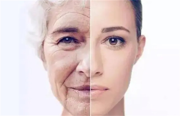 抗老护肤品多大年龄可以用了 抗老护肤品有用吗