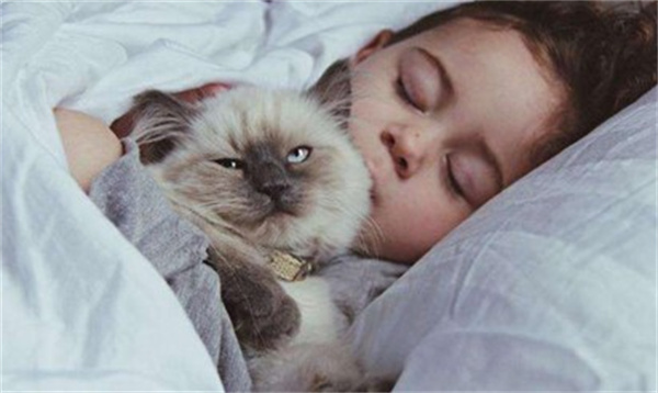小猫为什么喜欢睡在人头顶上