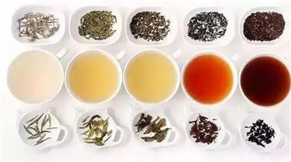 花茶和传统茶六大茶的区别在哪