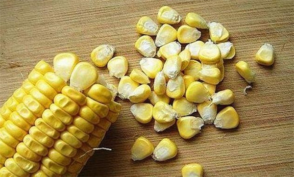 玉米粒的泡制