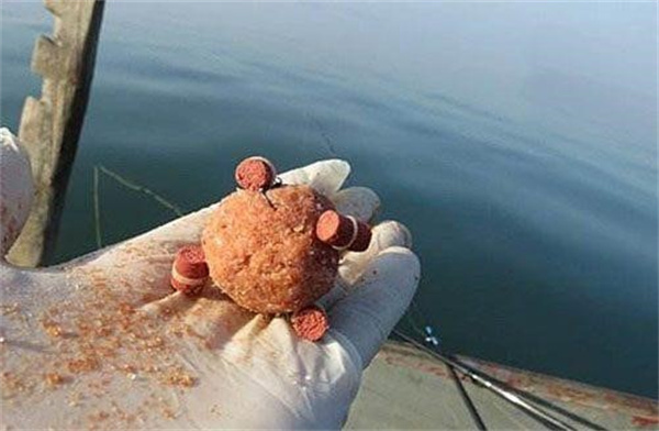 海杆鲤鱼饵料如何制作