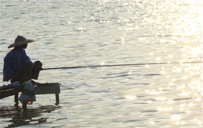夏季钓鲫鱼用多长的竿子效果好 夏季钓鲫鱼用什么饵料最好