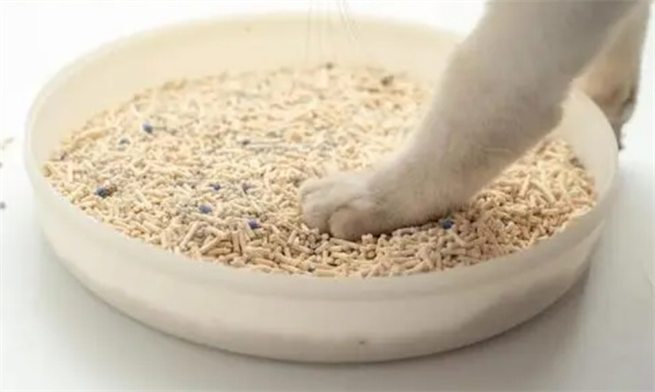 猫砂种类及优缺点 猫砂多久换一次