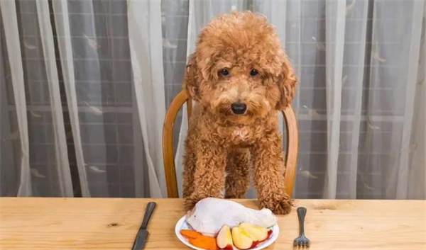 狗狗哪些食物钙含量高