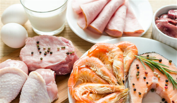 蛋白质减肥法会反弹吗 蛋白质减肥法怎么吃