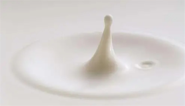 减脂能喝牛奶吗 什么牛奶可以减脂的时候喝